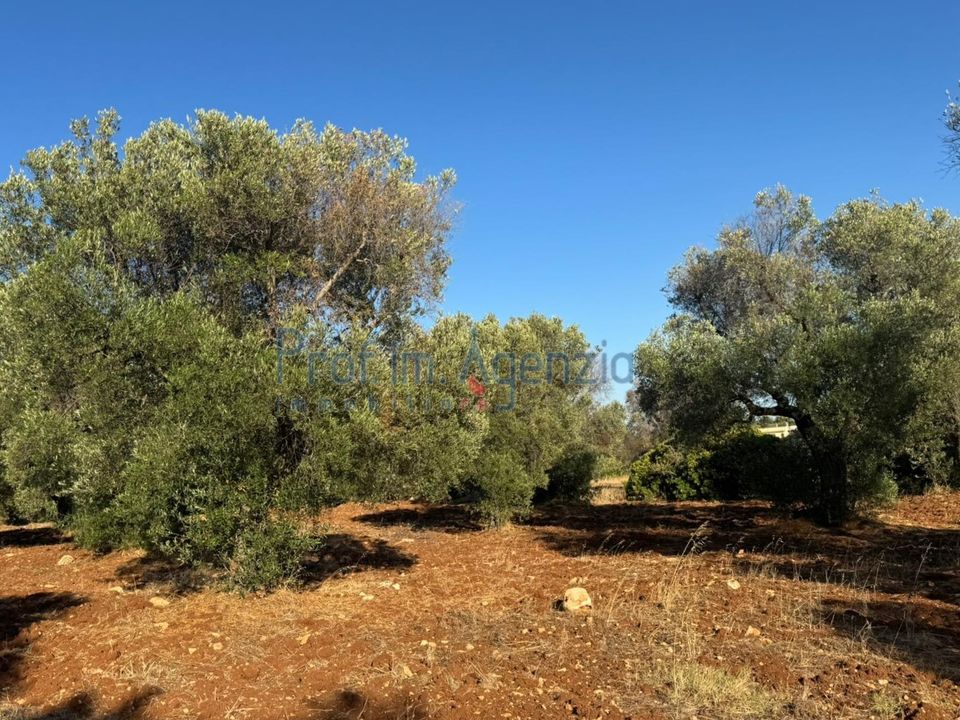 Helårsgrund i Carovigno, Brindisi - foto 4